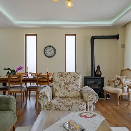 Villa Aleyna *